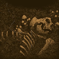 Thrall cover